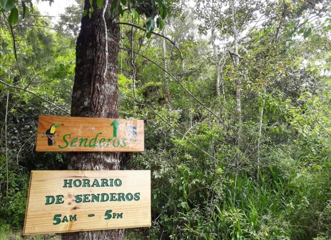 Cabañas Cerro Verde Lodge y Spa Cartago Exterior foto