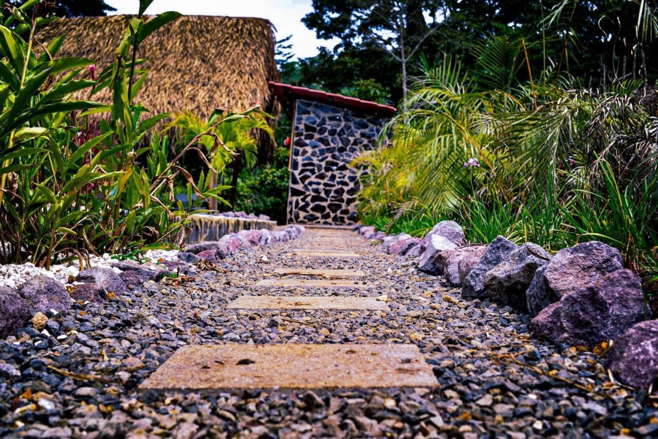 Cabañas Cerro Verde Lodge y Spa Cartago Exterior foto